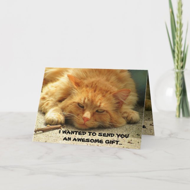 I Couldn't Send Myself,  Funny Kitty Card (Front)