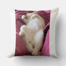 I’d Like To Be Your Cat, Cat Throw Pillow