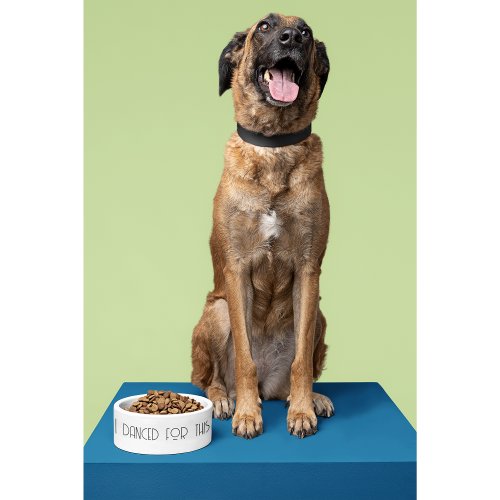 I danced for this funny pet dog cat food ceramic bowl