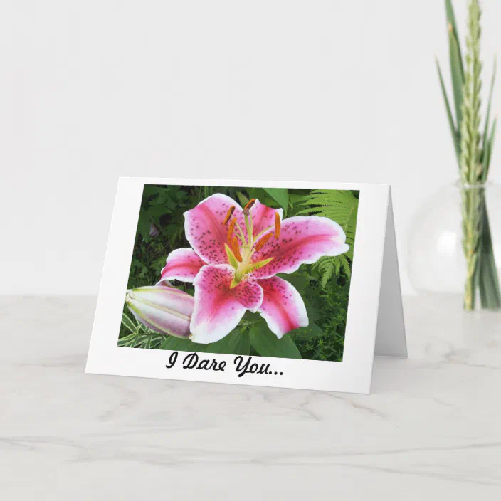 I Dare You To Love Me Card Zazzle Com