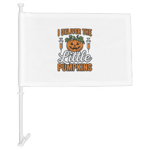 I Deliver The Little Pumpkins Halloween Nurse Shir Car Flag
