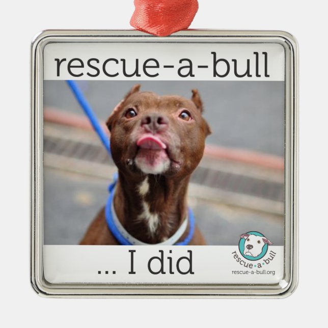 I did ornament (customizable) (Front)