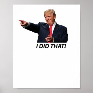 I Did That Trump Meme Poster