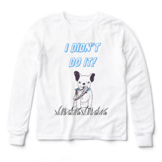 I Didn’t Do It Tri-Blend Shirts