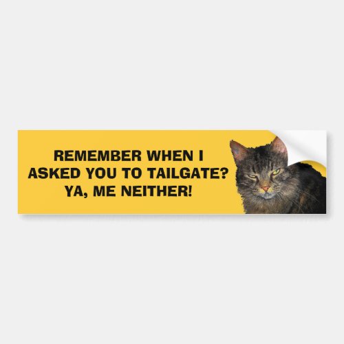 I Didnt Ask You To Tailgate _ Grumpy Angel Cat Bumper Sticker