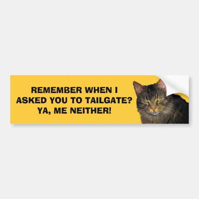 I Didn't Ask You To Tailgate - Grumpy Angel Cat Bumper Sticker (Front)