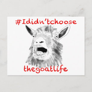 I Didn't Choose the Goat Life Funny Animal Art Postcard