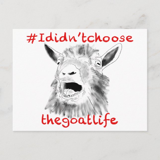 I Didn't Choose the Goat Life Funny Animal Art Postcard (Front)