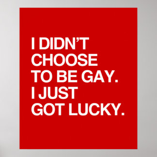 I DIDN'T CHOOSE TO BE GAY I JUST GOT LUCKY POSTER