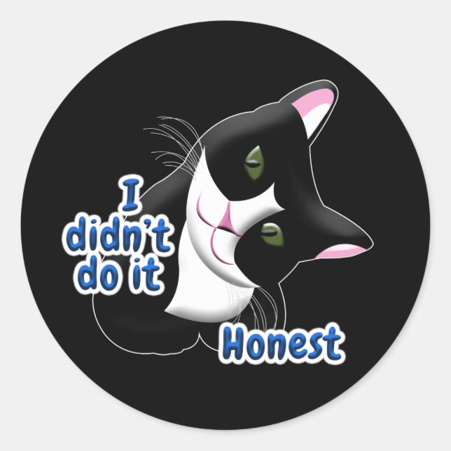 I didn't do it Cat Classic Round Sticker (Front)