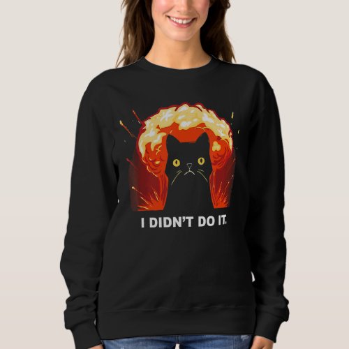 I Didnt Do It Fire Explosion Cat Funny Sweatshirt