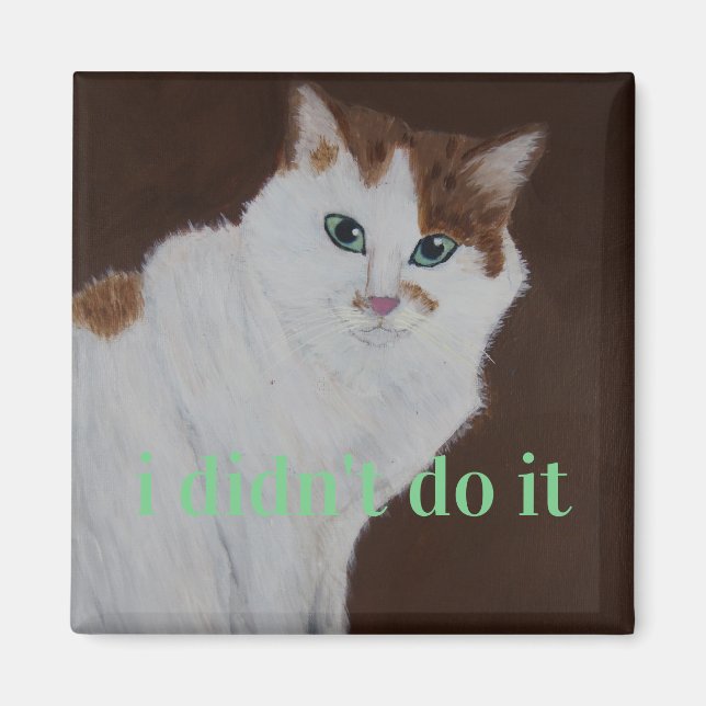 i didn't do it magnet (Front)