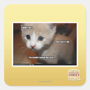 I didn't do it. square sticker