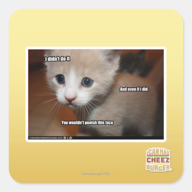 I didn't do it. square sticker (Front)