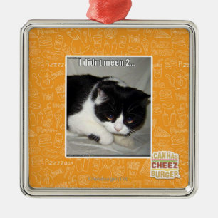 I didn't meen 2 metal ornament