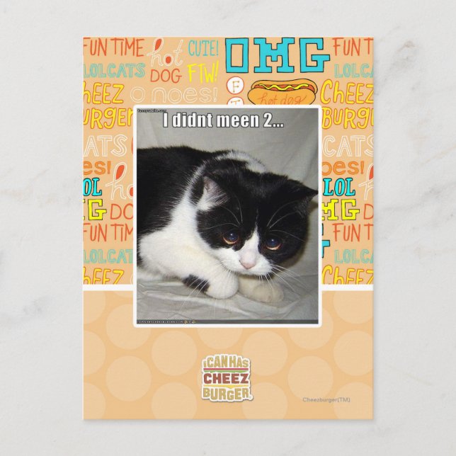 I didn't meen 2 postcard (Front)