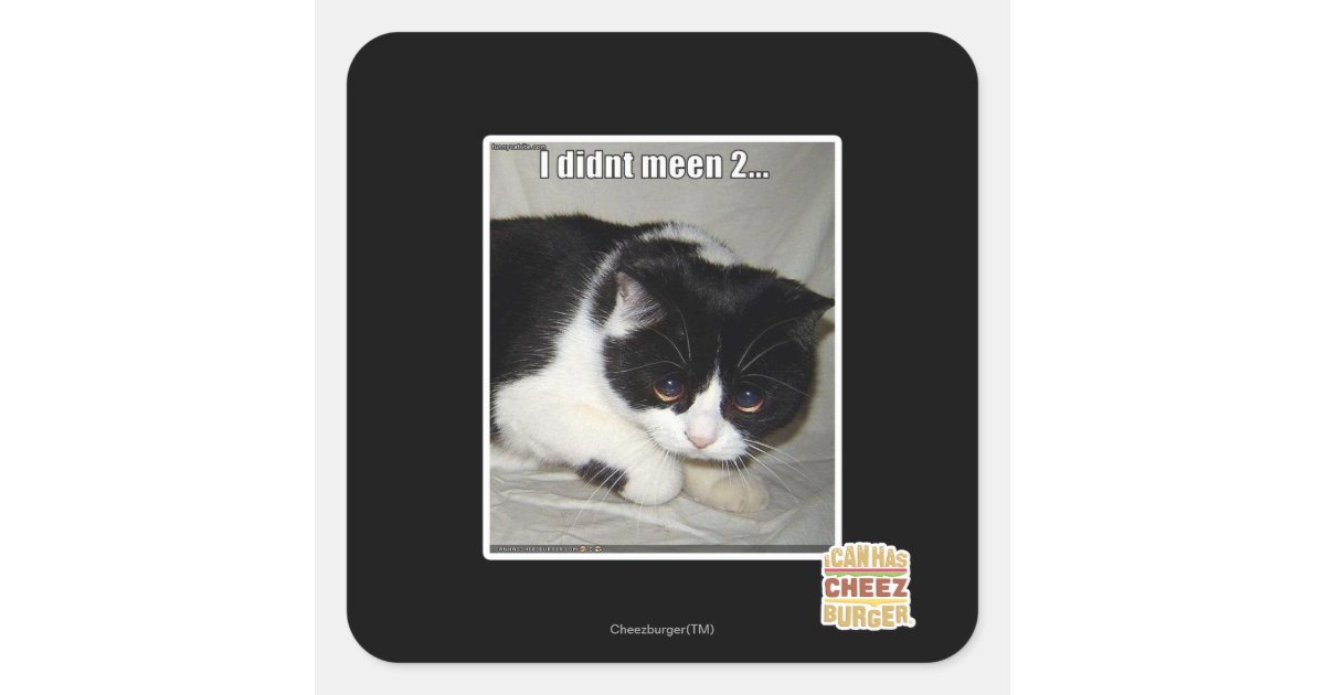 Sticker Meen Reyad I didn't meen 2 square sticker | Zazzle