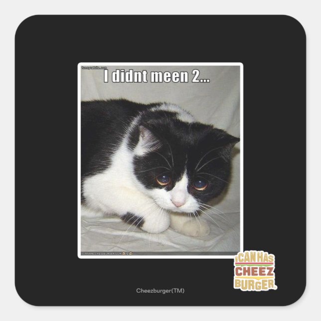 I didn't meen 2 square sticker (Front)