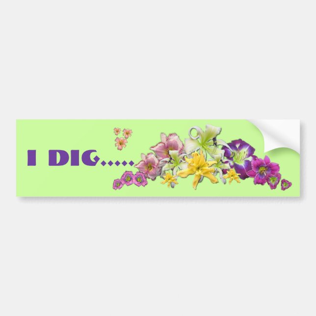 I DIG DAYLILIES BUMPER STICKER (Front)
