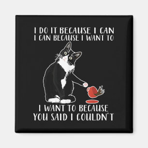 I Do It Because I Can I Can Because I Want To Magnet