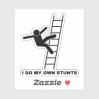 I Do My Own Stunts