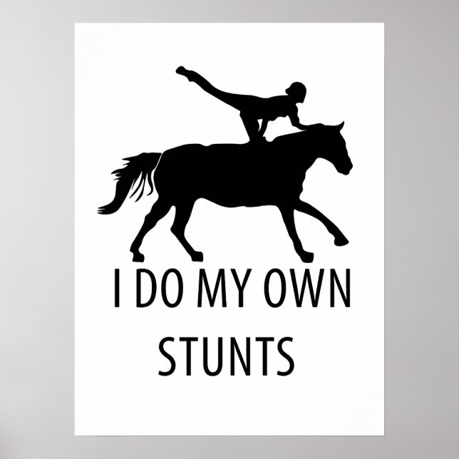 I Do Own Stunts Vaulting Horseriding Poster (Front)