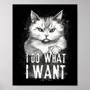 I Do What I Want Cat Halloween Funny Cat Halloween Poster