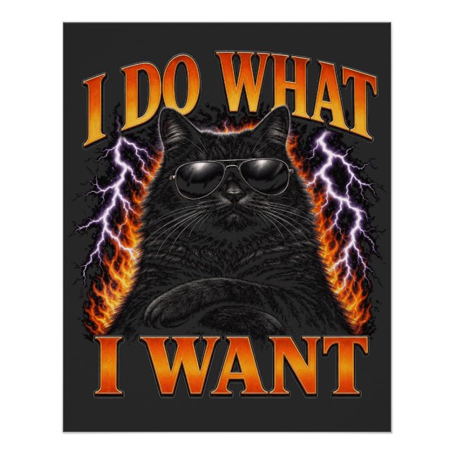 I Do What I Want Cool Black Cat Rebel Poster (Front)