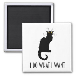 I Do What I Want Funny Cat Chat Noir Magnet
