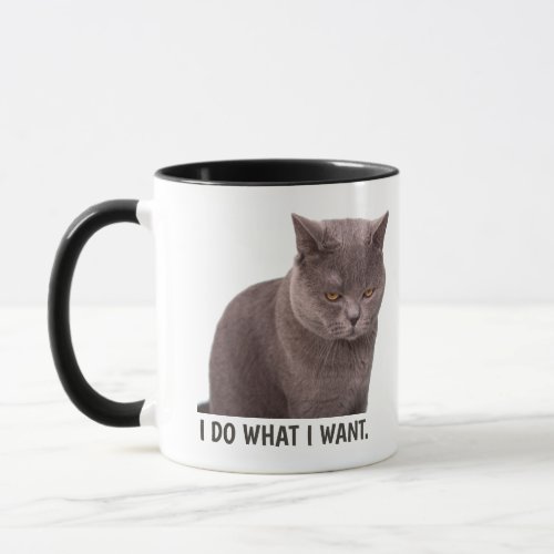 I Do What I Want Funny Cat Mug