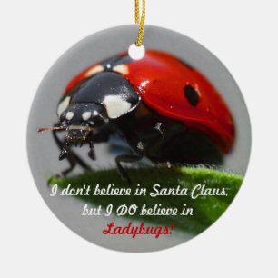 I Don't Believe in Santa Claus - Ladybug Ornament