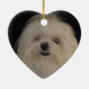 I Don't Do Top Knots MALTESE Ceramic Ornament