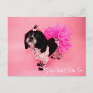 I Don't Give A Shih Tzu Postcard