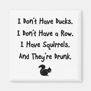 I Don't Have Ducks Magnet