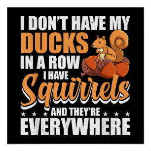 I Don't Have My Ducks In A Row I Have Squirrels Sq Poster