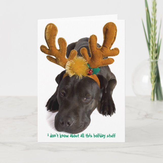 i don't know about all this holiday stuff (Front)