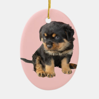 I Don't Need To Be Told I Am Cute Ceramic Ornament