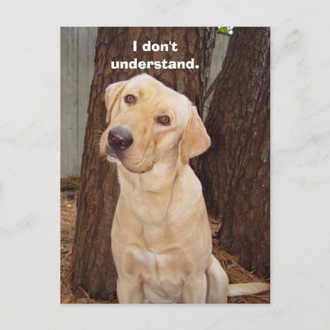 I don't understand. postcard (Front)