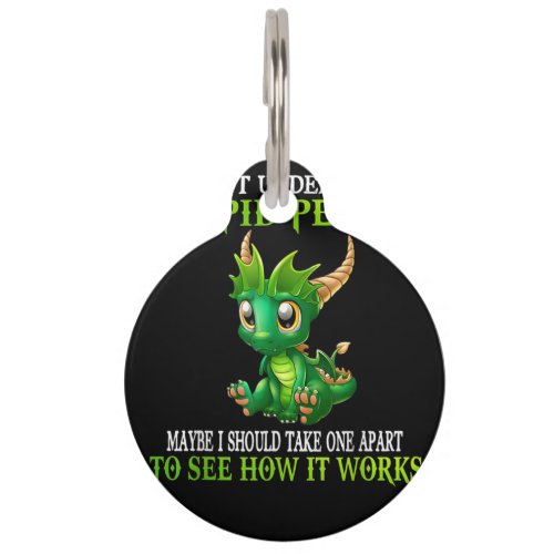 I Dont Understand Stupid People Cute Dragons Love Pet ID Tag