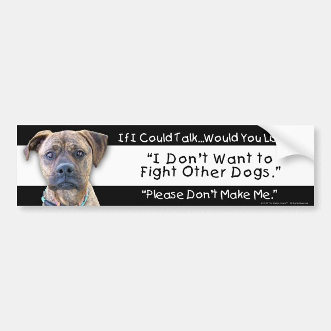 I Don't Want to Fight Other Dogs. Bumper Sticker (Front)