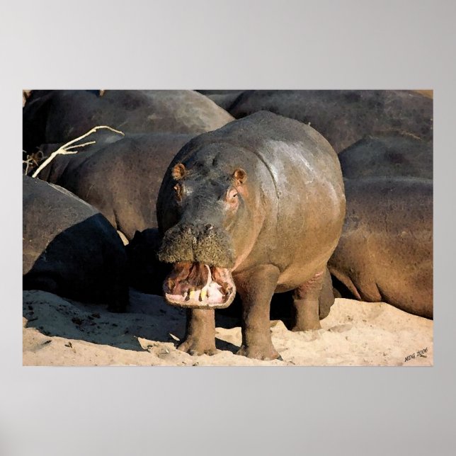 I Don't Want To Hippopotamus Portrait Poster (Front)