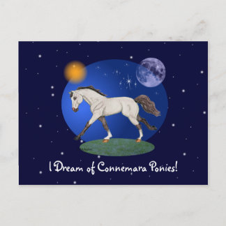 I Dream of Connemara Ponies Notecard