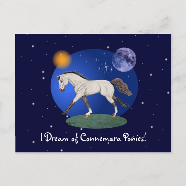 I Dream of Connemara Ponies Notecard (Front)