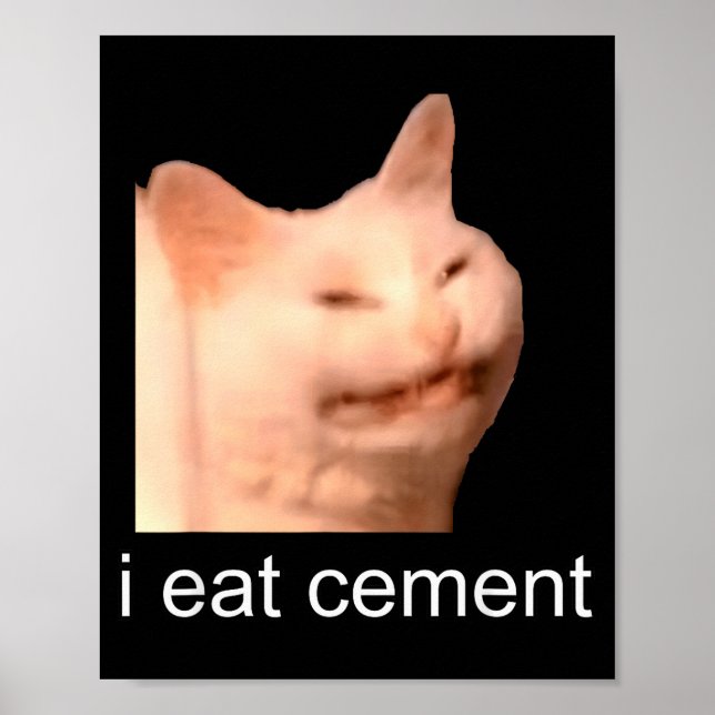I Eat Cement Cursed Cat Funny Oddly Specific Meme  Poster (Front)