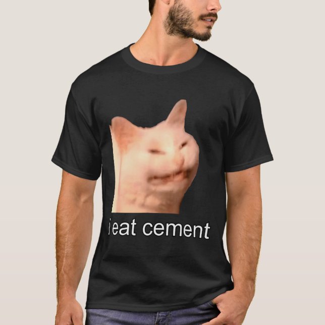 I Eat Cement Cursed Cat Funny Oddly Specific Meme  T-Shirt (Front)