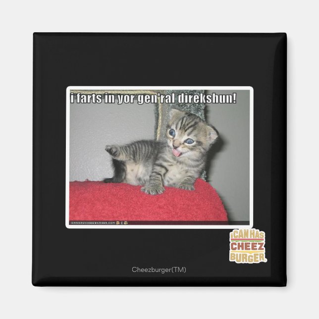 I farts in yor gen'ral direkshun magnet (Front)