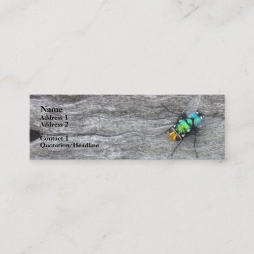 i fly business card template