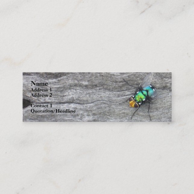 i fly mini business card (Front)