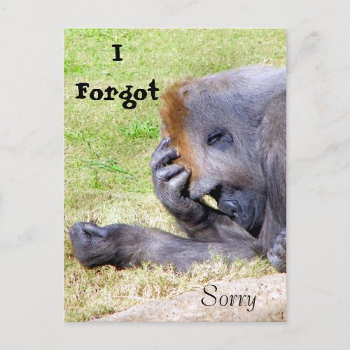 I Forgot Im Sorry I Forgot Sorry Postcard