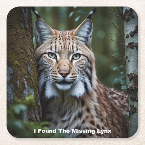 I Found The Missing Lynx Coasters